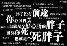 pr九天狐正能量软件2021
